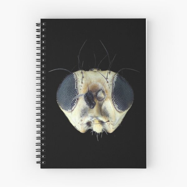 Item preview, Tiny leafminer fly head under the microscope designed and sold by SDym Photography.