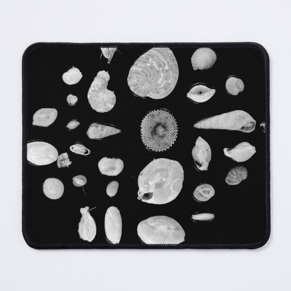 Item preview, Foraminifera under the microscope designed and sold by SDym Photography.