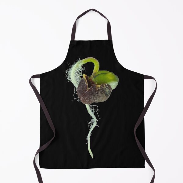 Item preview, Reflected light micrograph of young turnip sprout designed and sold by SDym Photography.