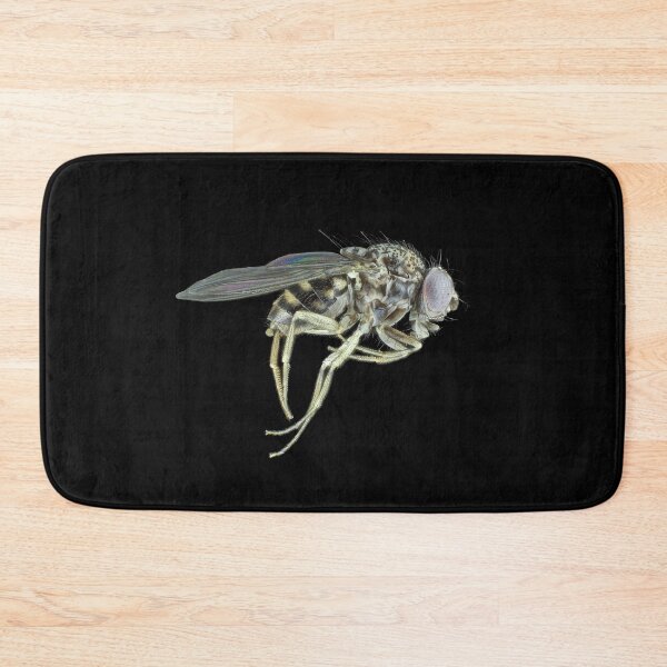 Item preview, Tiny fly designed and sold by SDym Photography.