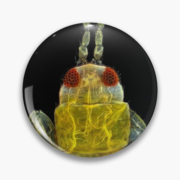 Item preview, Thrips under the microscope designed and sold by SDym Photography.