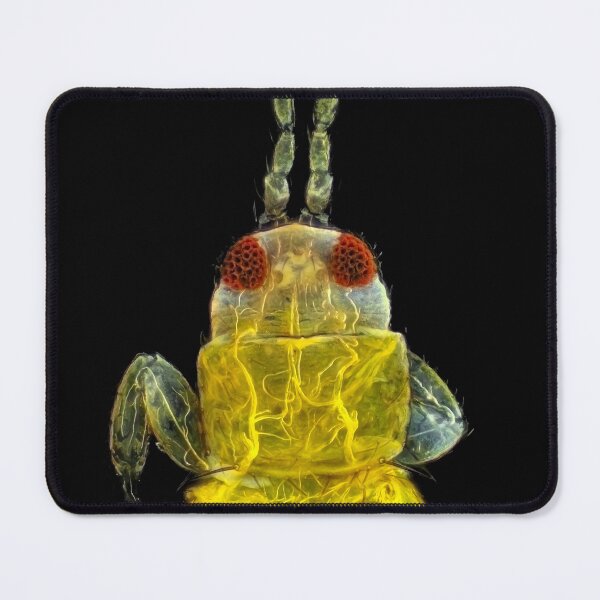 Item preview, Thrips under the microscope designed and sold by SDym Photography.