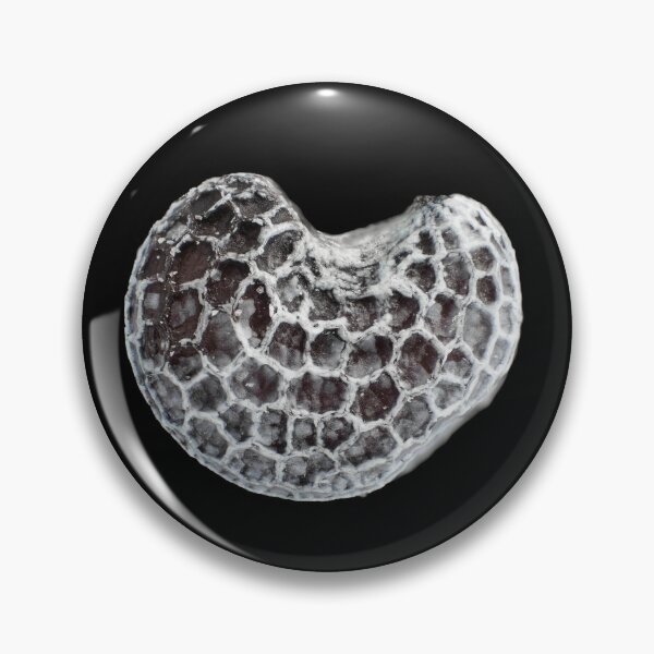 Item preview, Poppy seed under the microscope designed and sold by SDym Photography.