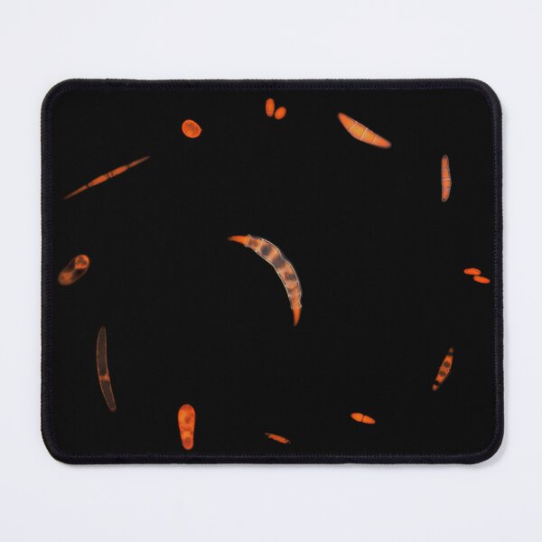 Item preview, Fungal spores under the microscope designed and sold by SDym Photography.