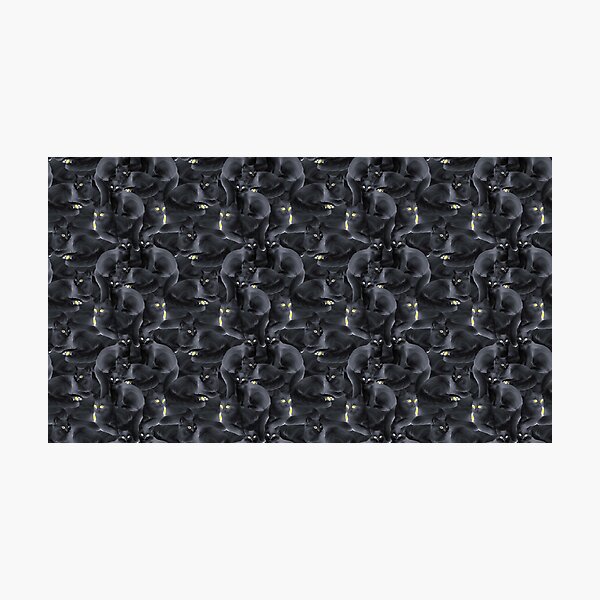 Item preview, black cats, pattern,cute ,puffy ,kitty ,kitten  designed and sold by letsgow8th.