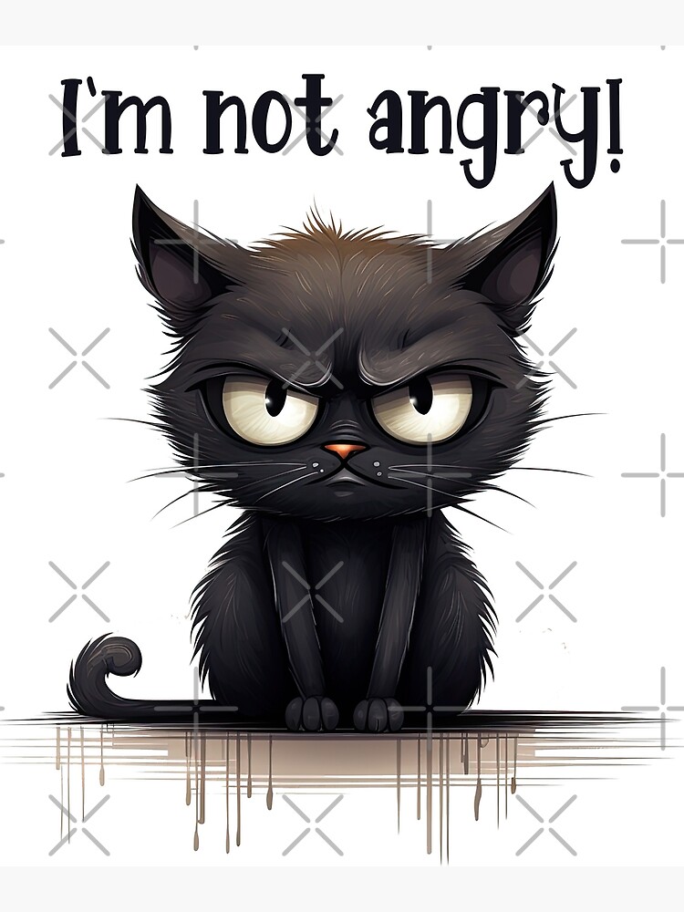 i am not angry cat meme | Poster