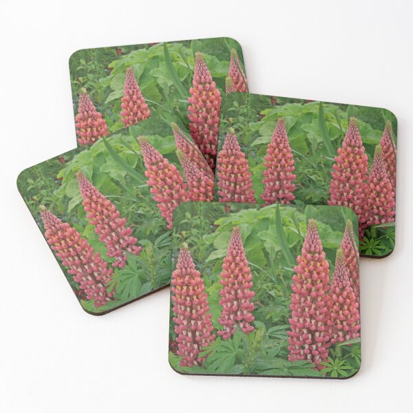 Item preview, Lupins designed and sold by RedHillDigital.