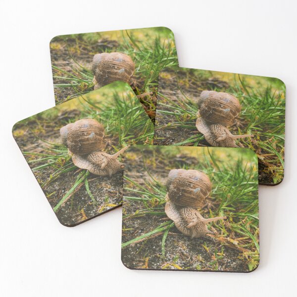 Item preview, slowly slowly designed and sold by Julia  Kovtunyak.