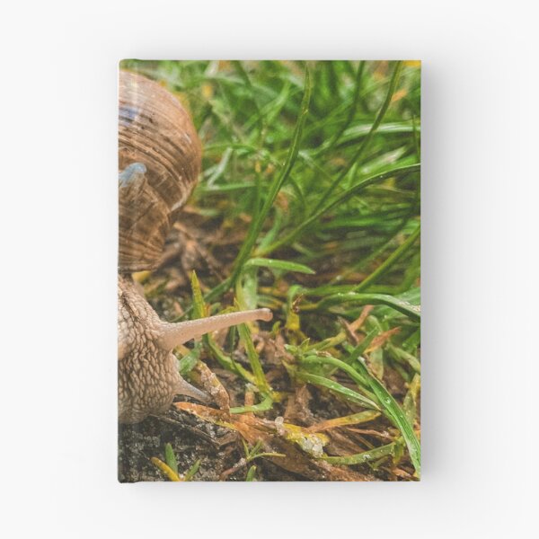 Item preview, slowly slowly designed and sold by Julia  Kovtunyak.