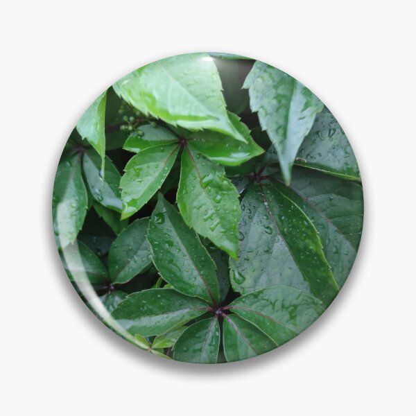 Item preview, Plants need rain just how they need the sun designed and sold by tshuki.