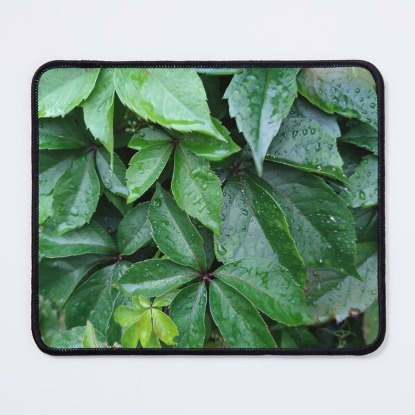 Item preview, Plants need rain just how they need the sun designed and sold by tshuki.