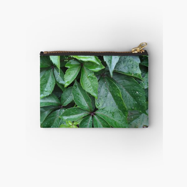 Item preview, Plants need rain just how they need the sun designed and sold by tshuki.
