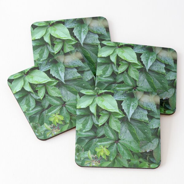 Item preview, Plants need rain just how they need the sun designed and sold by tshuki.