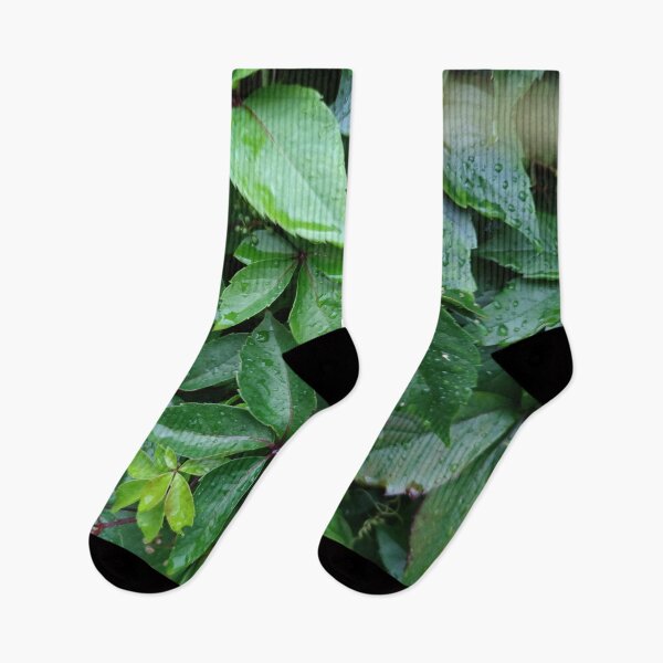 Item preview, Plants need rain just how they need the sun designed and sold by tshuki.