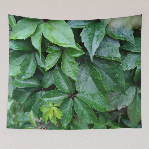 Item preview, Plants need rain just how they need the sun designed and sold by tshuki.