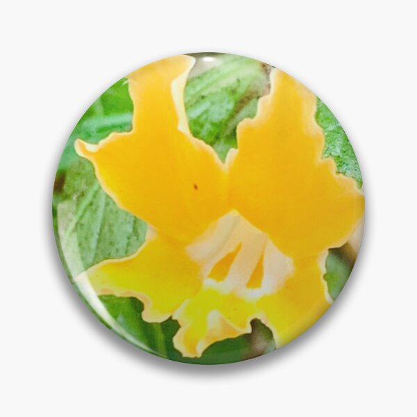 Item preview, Adorable Little Bats Nose ;0) designed and sold by NatureSoReal.