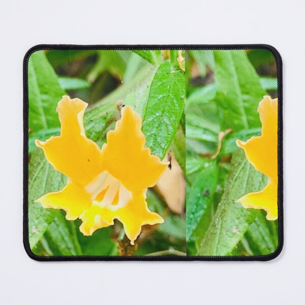 Item preview, Adorable Little Bats Nose ;0) designed and sold by NatureSoReal.