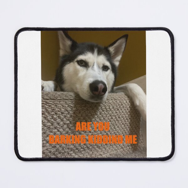 Item preview, Are you barking kidding me? designed and sold by Bloodykitsune19.