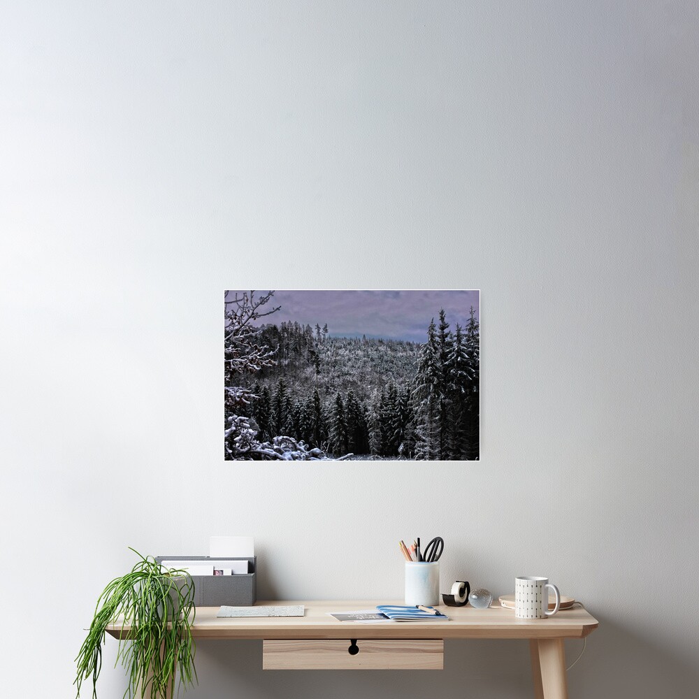 hdr snow speckled forrest Poster