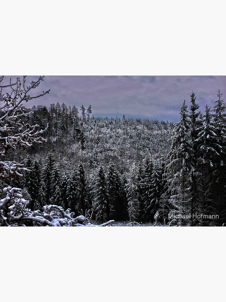 hdr snow speckled forrest by Mows