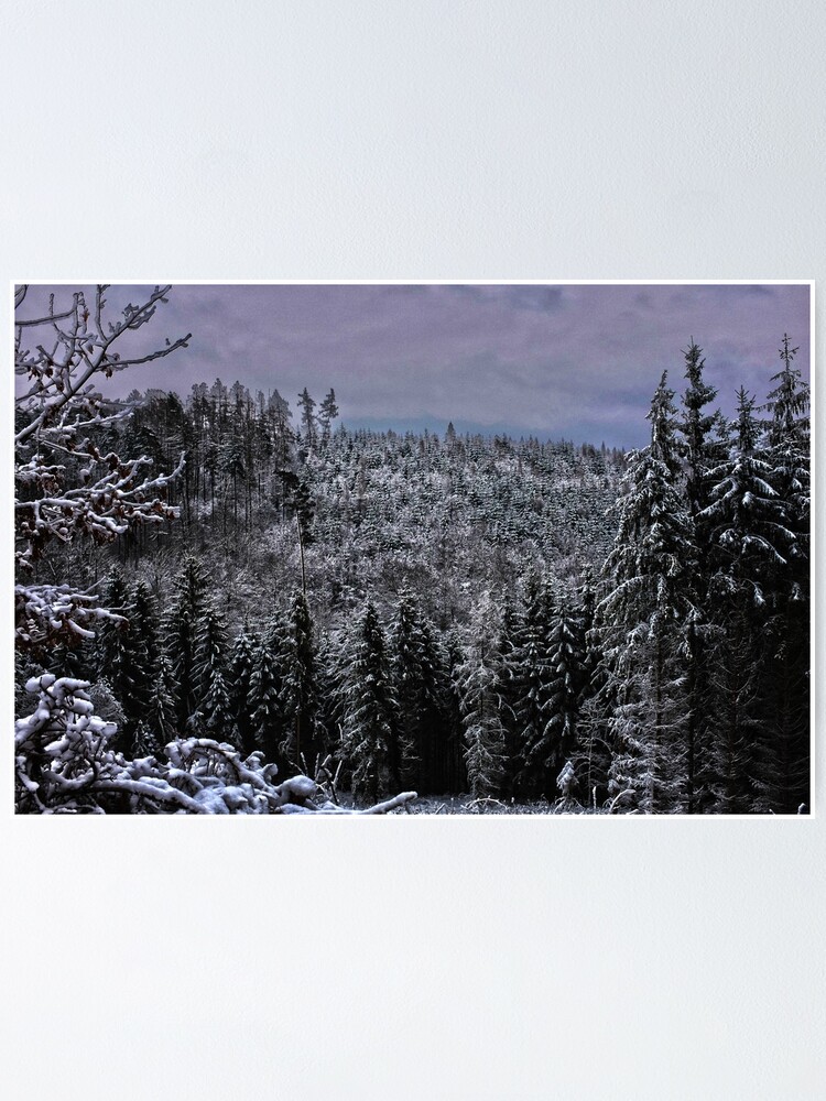 Alternate view of hdr snow speckled forrest Poster