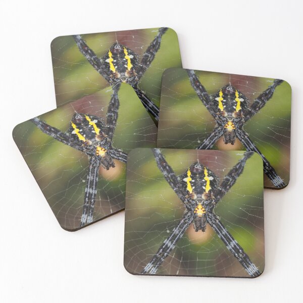 Item preview, Female Hawaiian garden spider Argiope appensa designed and sold by SDym Photography.