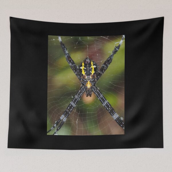 Item preview, Female Hawaiian garden spider Argiope appensa designed and sold by SDym Photography.