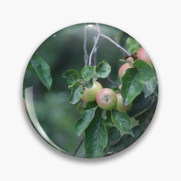 Item preview, Sweet apples in apple tree designed and sold by olena2552.