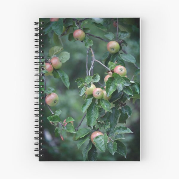 Item preview, Sweet apples in apple tree designed and sold by olena2552.