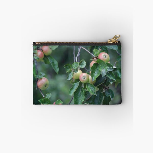 Item preview, Sweet apples in apple tree designed and sold by olena2552.