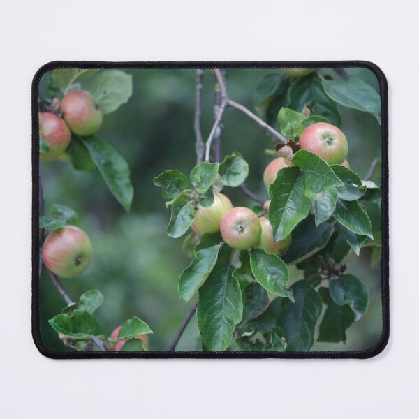 Item preview, Sweet apples in apple tree designed and sold by olena2552.
