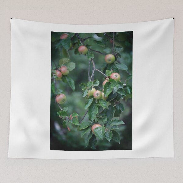 Item preview, Sweet apples in apple tree designed and sold by olena2552.