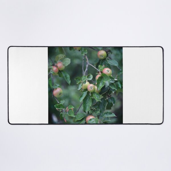 Item preview, Sweet apples in apple tree designed and sold by olena2552.