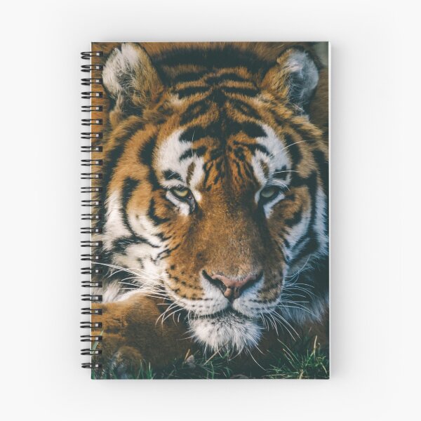 Item preview, Snoozing Tiger designed and sold by Jeremy Simpson.