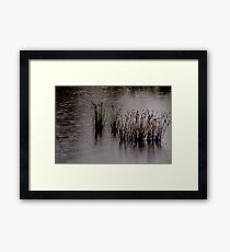 Rainy Day Framed Print