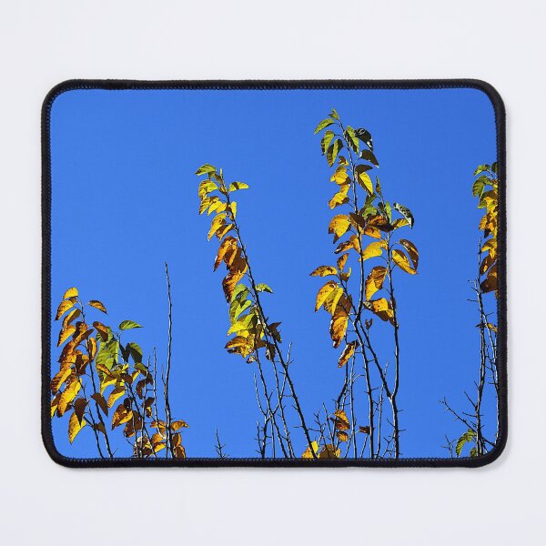 Item preview, Autumn designed and sold by PictureFarm.