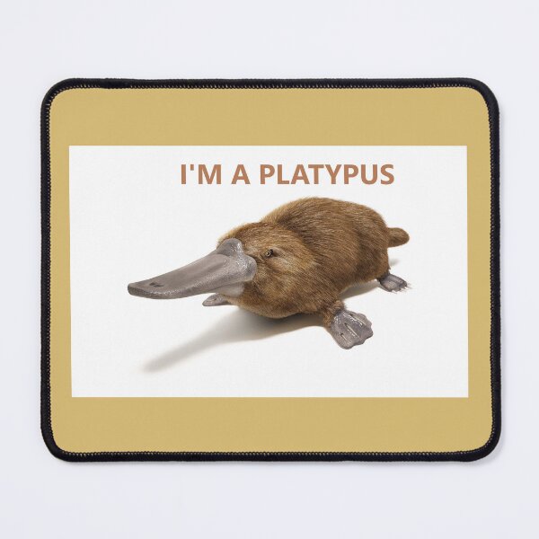 Item preview, Australian Freshwater Platypus designed and sold by ThundRDownunder.
