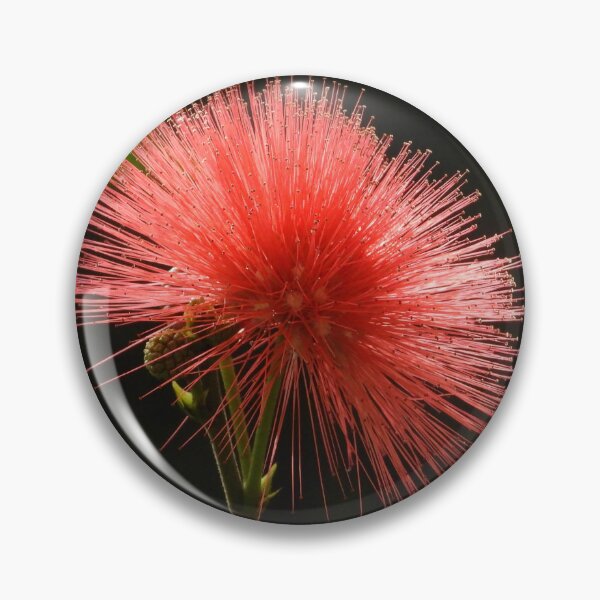 Item preview, Red Powderpuff  designed and sold by Linda Sijpkes.