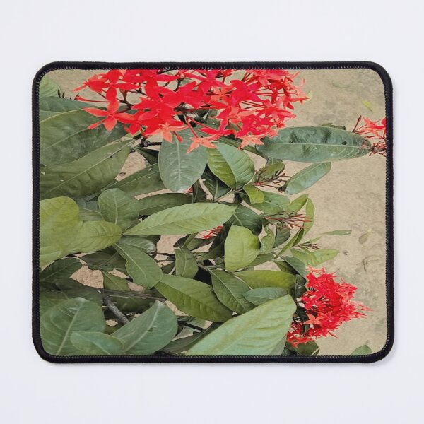 Item preview, Special flower in world designed and sold by The-design24.