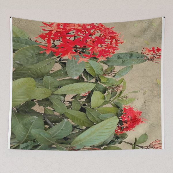 Item preview, Special flower in world  designed and sold by The-design24.
