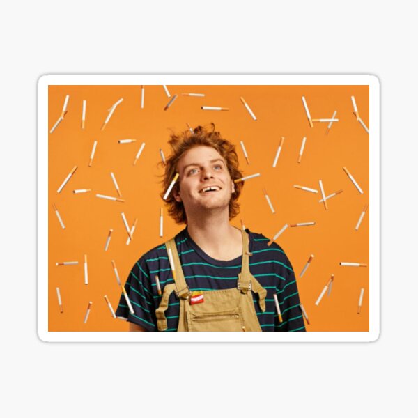 Mac Demarco Wall Art Sticker By Dappershirts Redbubble