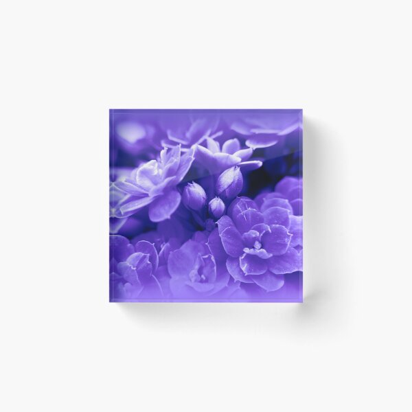 Item preview, abstract floristic background designed and sold by neurostructure.