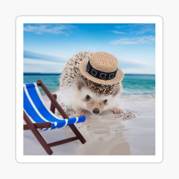 Vacation with Hedgehog Sticker