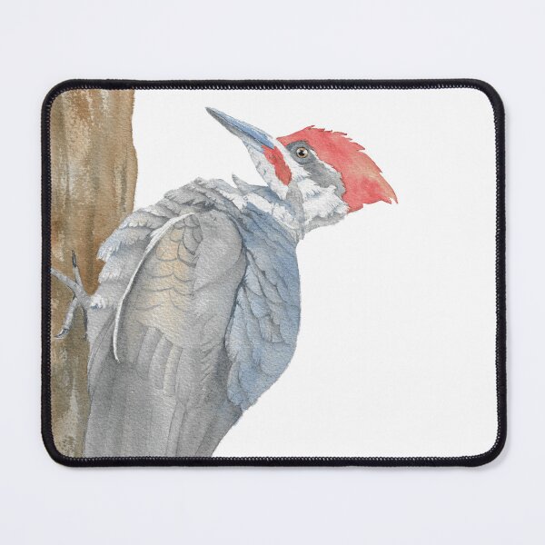 Item preview, Pileated woodpecker watercolor portrait designed and sold by L'Atelier Oranjade.