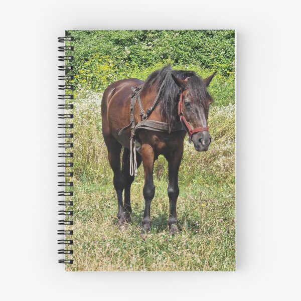 Item preview, Horse in a grassy field designed and sold by GracefulGems.