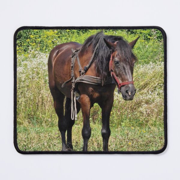 Item preview, Horse in a grassy field designed and sold by GracefulGems.