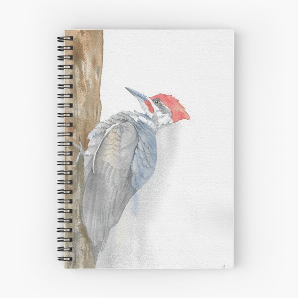 Item preview, Pileated woodpecker watercolor portrait 2 designed and sold by L'Atelier Oranjade.
