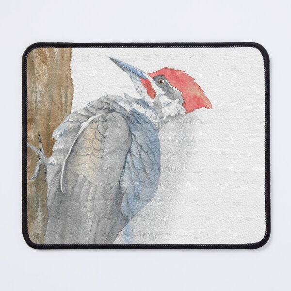 Item preview, Pileated woodpecker watercolor portrait 2 designed and sold by L'Atelier Oranjade.