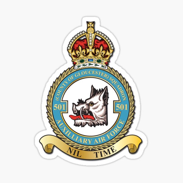 "501 Sqn" Sticker for Sale by Aircombatgroup | Redbubble