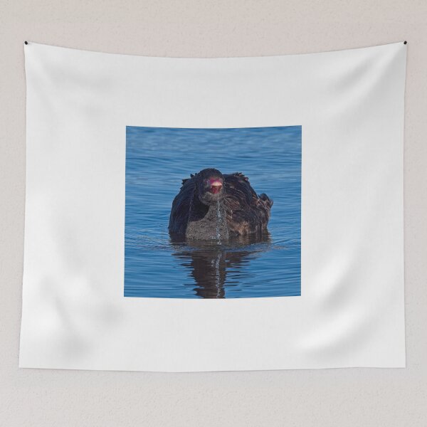 Item preview, Black Swan 4 designed and sold by StevenRalserPhoto.